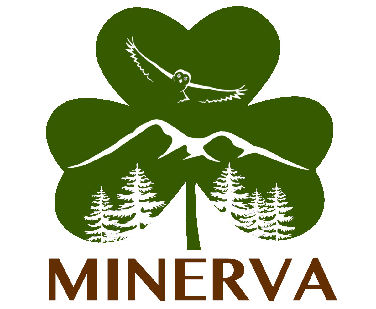 Employment Opportunities Minerva New York